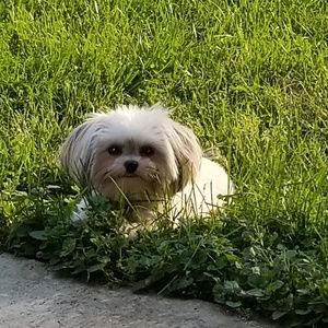 Meet your Posher, Jaclyn